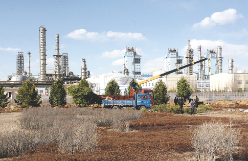 捷报比分手机界面